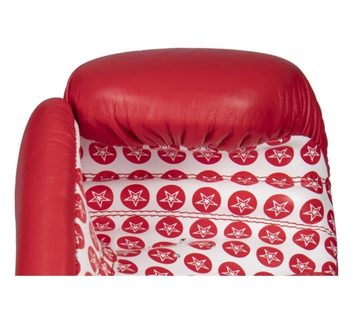 Boxerské rukavice 10 oz model 21348878 - TOP TEN Boxerské rukavice 10 oz model 21348878 - TOP TEN