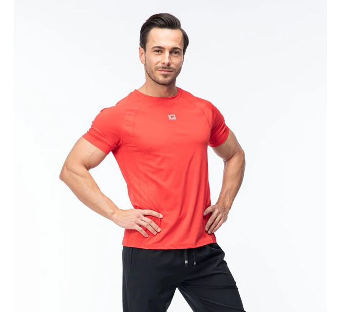 Pánské tričko model 22098410 s krátkým rukávem - IQ Pánské tričko model 22098410 s krátkým rukávem - IQ