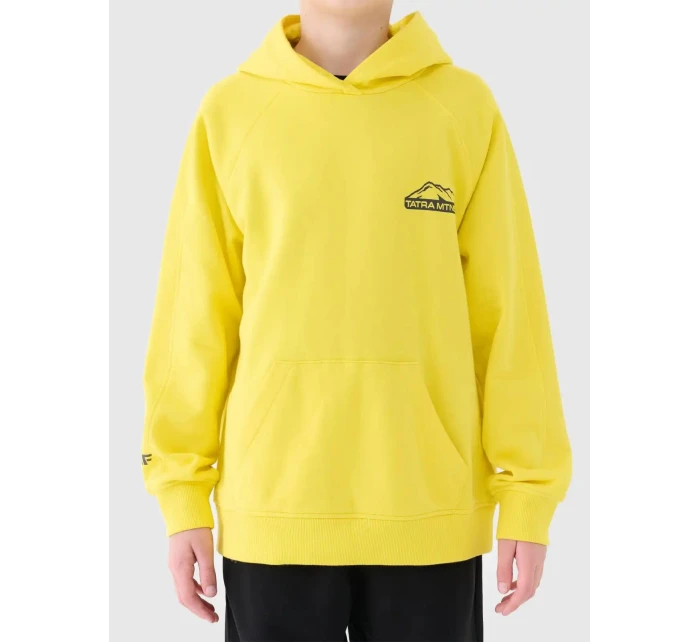 Chlapecká mikina 4F