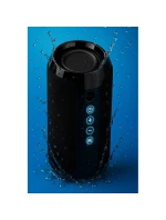 BLUETOOTH  FM   USB-C model 21861629