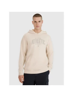 Pánská mikina s kapucí  pánská model 21907027 - 4F