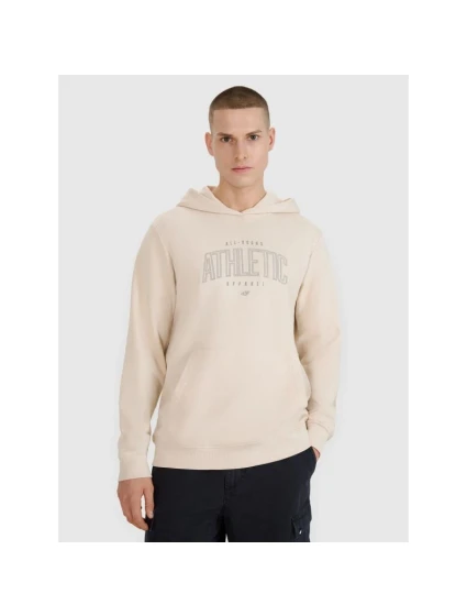 Pánská mikina s kapucí  pánská model 21907027 - 4F