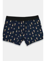 PÁNSKÉ VZOROVANÉ BOXERKY PREMIUM BB006