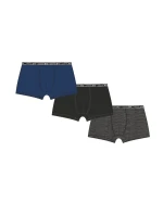 Hladké pánské boxerky model 21472129 - C+3