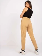 Tepláky TW DR 1033.16P velbloud