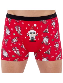 Pánské boxerky model 20648810 Rider - Cornette