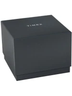 Pánské hodinky TIMEX Legacy TW2W57200 + krabice