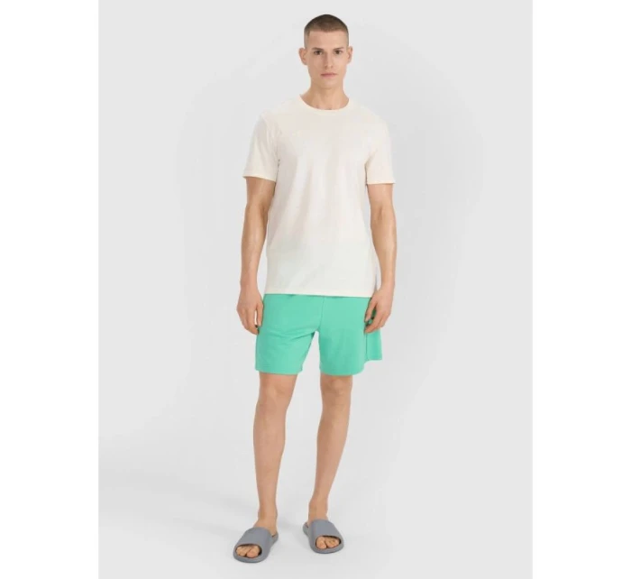 Pánské tričko s potiskem 4F 4FRSS25TTSHM2687-11S Pánské tričko s potiskem 4F 4FRSS25TTSHM2687-11S