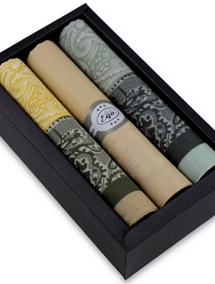 Pánské kapesníky CH-540 kpl 3ks