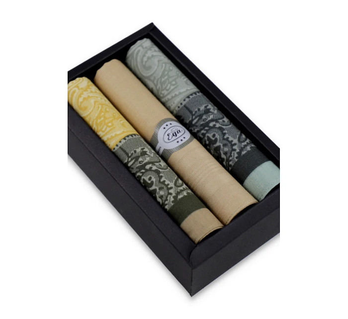 Pánské kapesníky CH-540 kpl 3ks