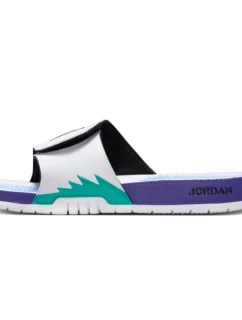 Pánské sportovní žabky Air Jordan Hydro V Retro - 555501-103