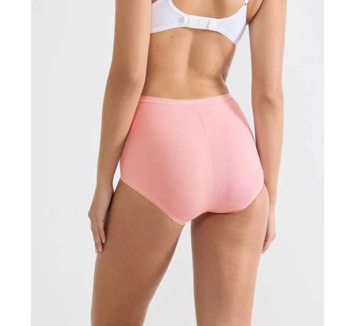 sloggi Basic+ Maxi C3P - UNKNOWN - SLOGGI UNKNOWN - SLOGGI sloggi Basic+ Maxi C3P - UNKNOWN - SLOGGI UNKNOWN - SLOGGI