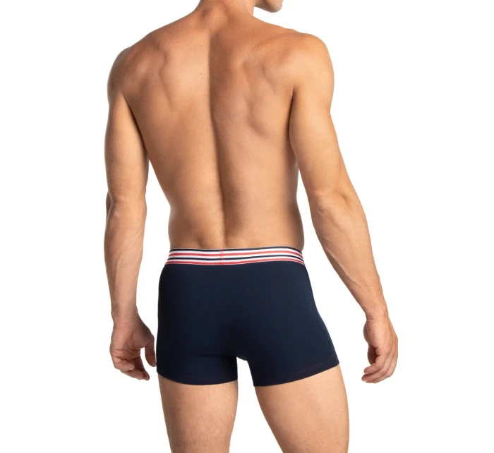 PÁNSKÉ ŠORTKY M-1066SZG 2-PACK