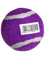 model 21825956 - Enero