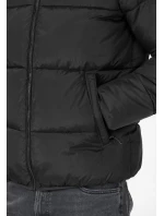 Pánská bunda model 21488994 - Whistler