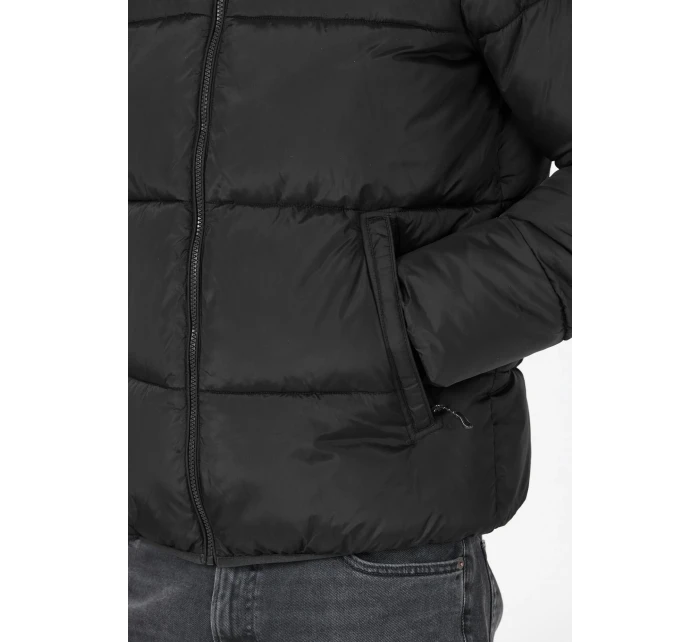 Pánská bunda model 21488994 - Whistler