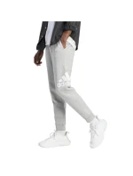 Tepláky adidas Big Logo Fleece M IJ6482