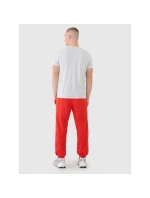 Spodnie dresowe męskie model 21460755 - 4F