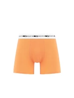 Pánské boxerky Vuch Ragaz Orange Pánské boxerky Vuch Ragaz Orange