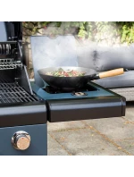 model 21810053 model 21810053