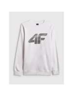 Pánská mikina bez kapuce 4F 4FRAW25TSWSM2493-10S