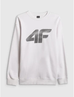 Pánská mikina bez kapuce model 21877664 - 4F