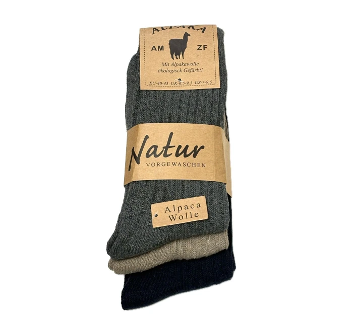 Ponožky 101 pánský vzor 18 A'3 model 21728908 - WiK