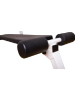 GYMNASTIC BAR GYNASTIC BAR RANGE DĚTSKÉ PŘÍSLUŠENSTVÍ WHITE MAT BENCHK 414 dětské