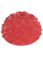 FIT model 21824945 - Enero