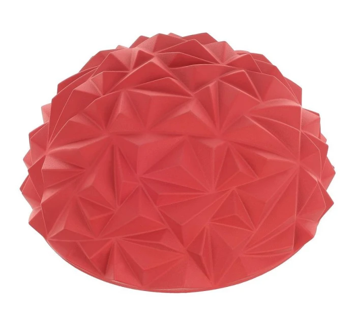 FIT model 21824945 - Enero