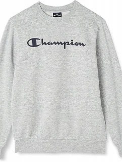 – model 22377649 - CHAMPION