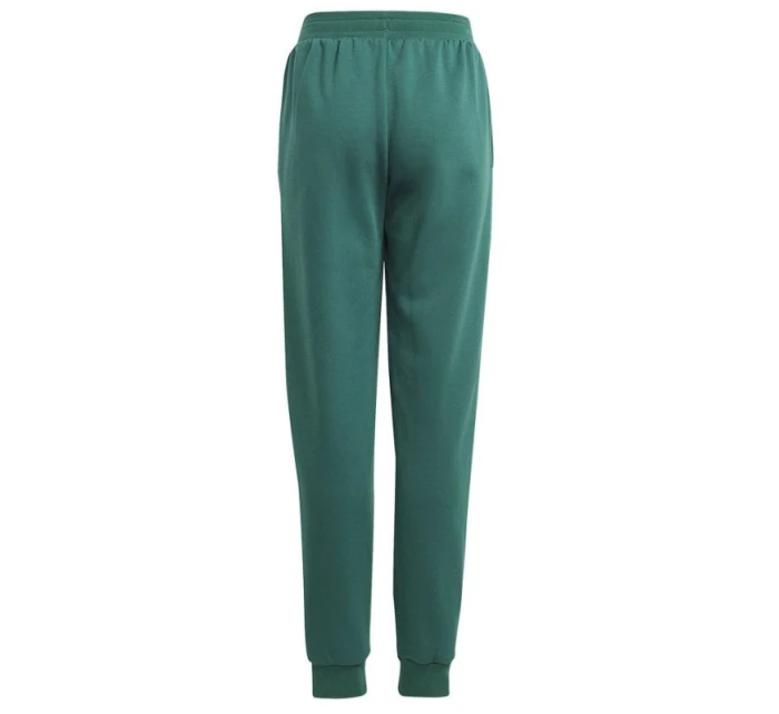 Adidas BLUV Q3 Pant Jr IA1553