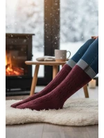 005 Dámské model 21773012 ponožky 3542 - WiK