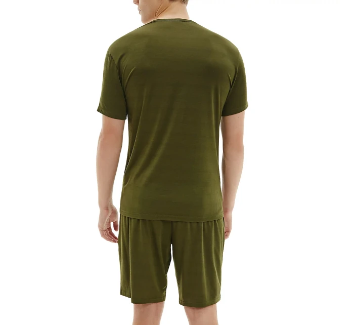 Pánské tričko s krátkým rukávem NB2364E-0S6 - Calvin Klein