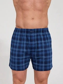 Pánské trenýrky comfort model 22403688 - Cornette