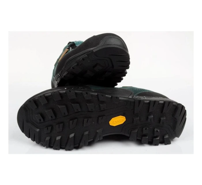 Trekové boty Aku Nativa GTX W 629676