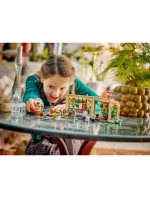 LEGO Harry model 21863813