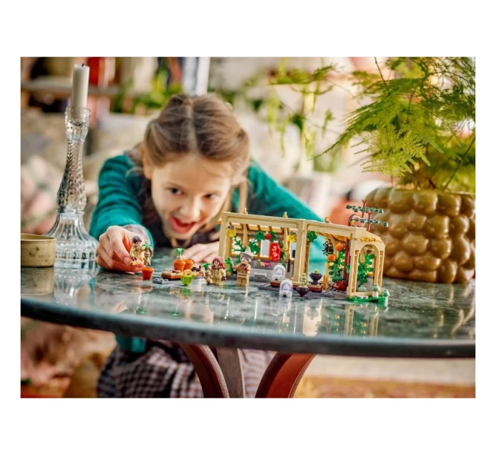 LEGO Harry model 21863813