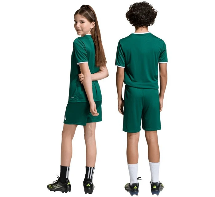 Dětské šortky Entrada 26 zelené model 22057824 - ADIDAS