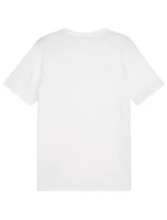 Puma Team Goal Casuals Tee M 658615 04 pánské Puma Team Goal Casuals Tee M 658615 04 pánské