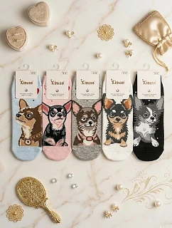 Nohy   3542 model 22126893 - WiK