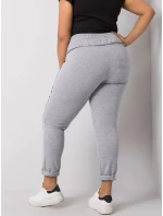 Tepláky RV DR 6300.19 šedá