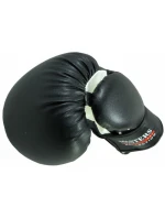 Dětské boxerské rukavice Collection Jr   model 21763826 - Masters