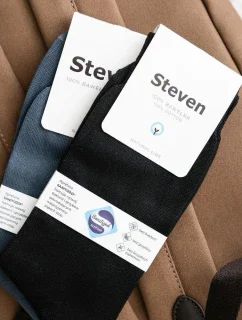 Pánské ponožky model 5775091 - Steven