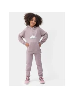 Dívčí nepruhovaná mikina s kapucí 4F Junior Dívčí nepruhovaná mikina s kapucí 4F Junior