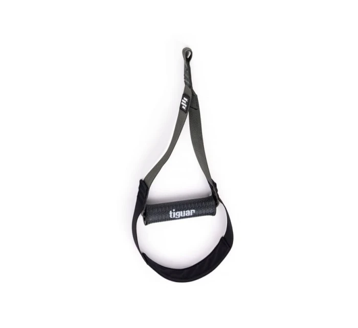 model 21380809 - Tiguar