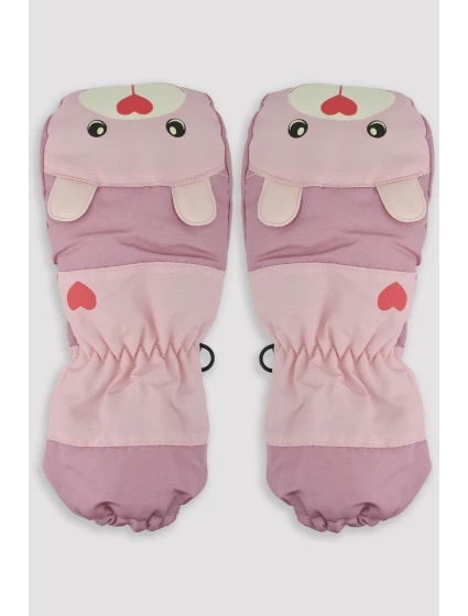 LYŽAŘSKÉ RUKAVICE RN031