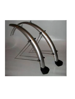 53 mm stříbrný model 21839311