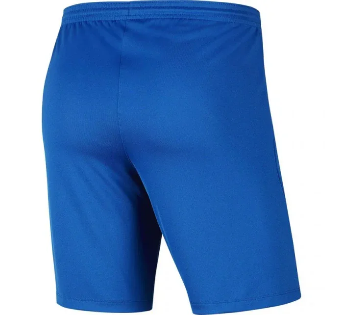 Pánská obuv Dry Park III NB M BV6855 463 - Nike