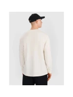 Pánské tričko s potiskem Regular Longsleeve model 21434584 pánské - 4F Pánské tričko s potiskem Regular Longsleeve model 21434584 pánské - 4F